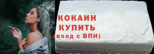 шишки Заволжск