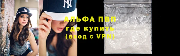 шишки Заволжск