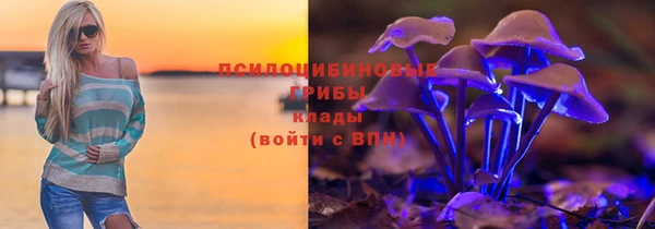 дживик Заводоуковск