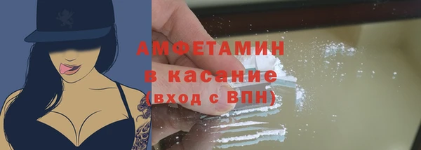 шишки Заволжск