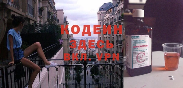 шишки Заволжск