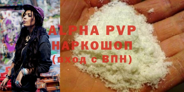 шишки Заволжск