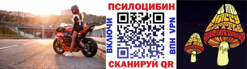 Купить  Мценск  Псилоцибиновые грибы GOLDEN TEACHER 